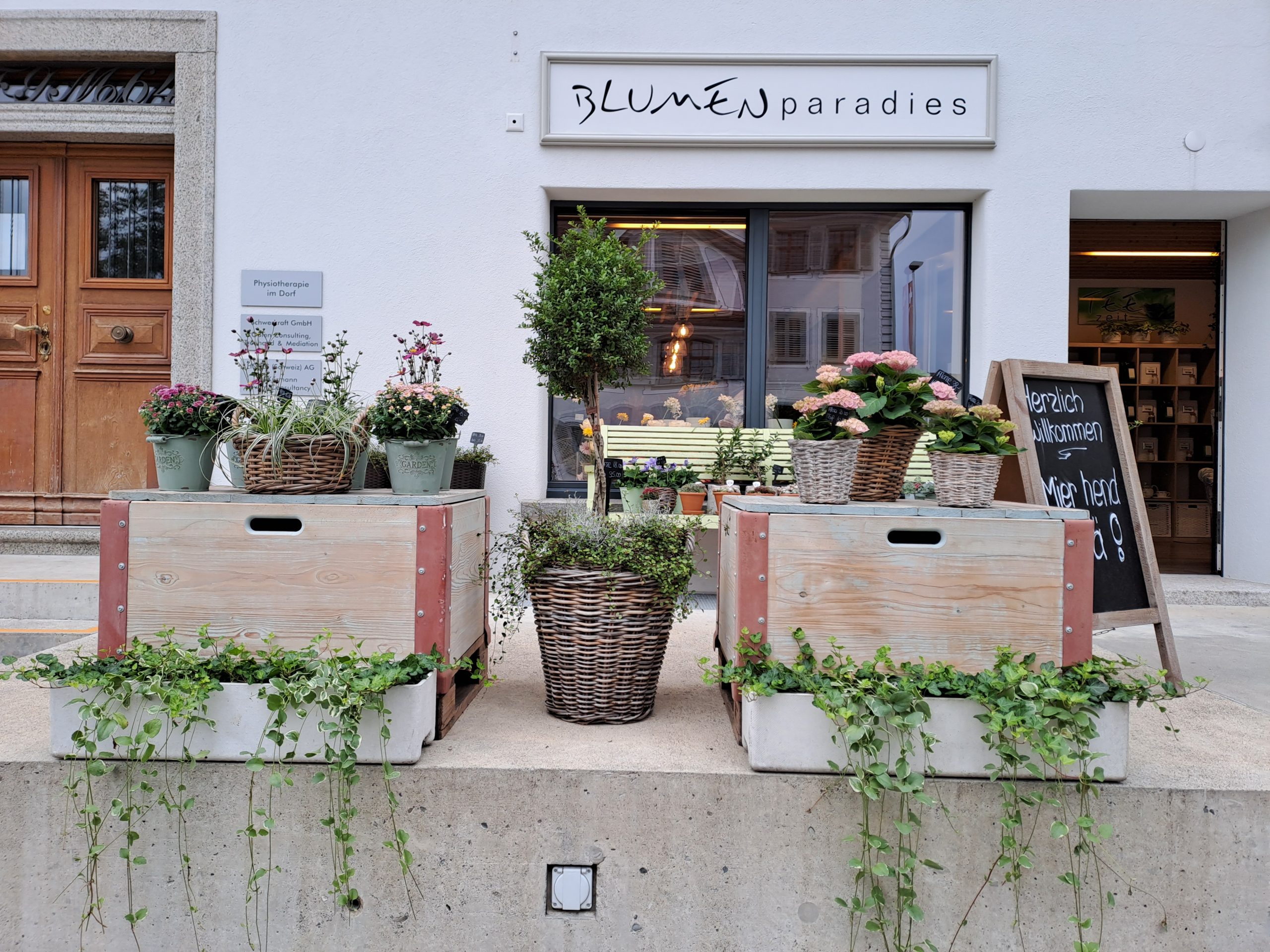 BLUMENparadies